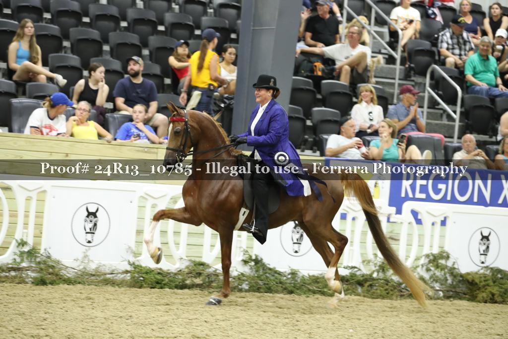 Proof 24R13_10785