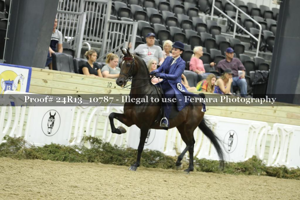 Proof 24R13_10787