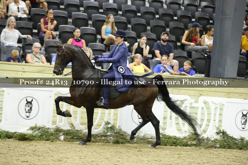 Proof 24R13_10790