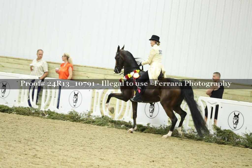 Proof 24R13_10791