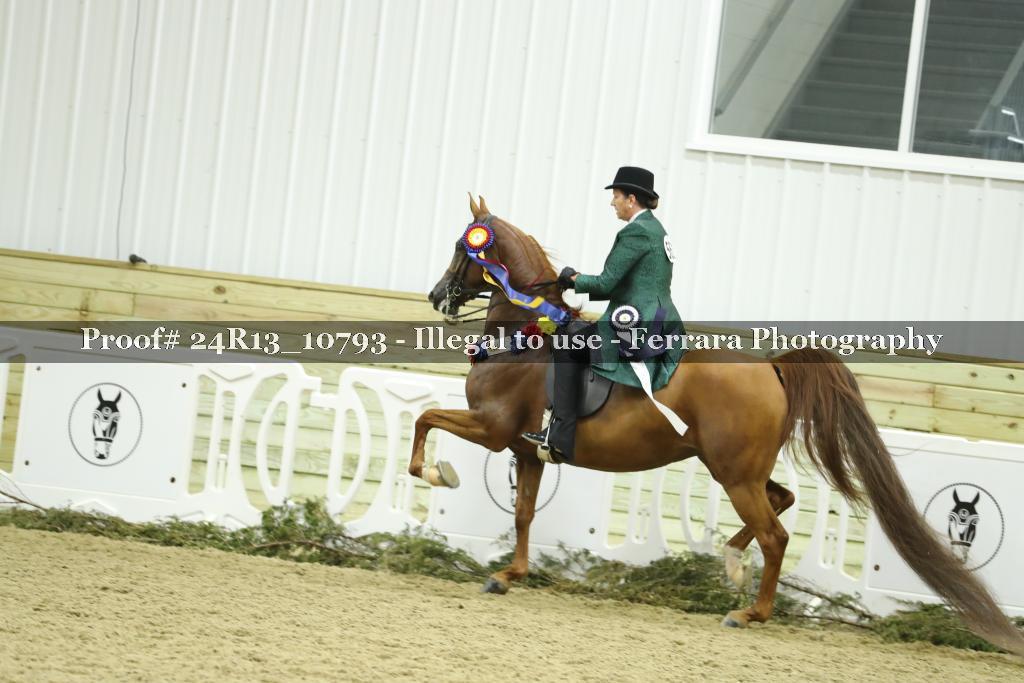 Proof 24R13_10793