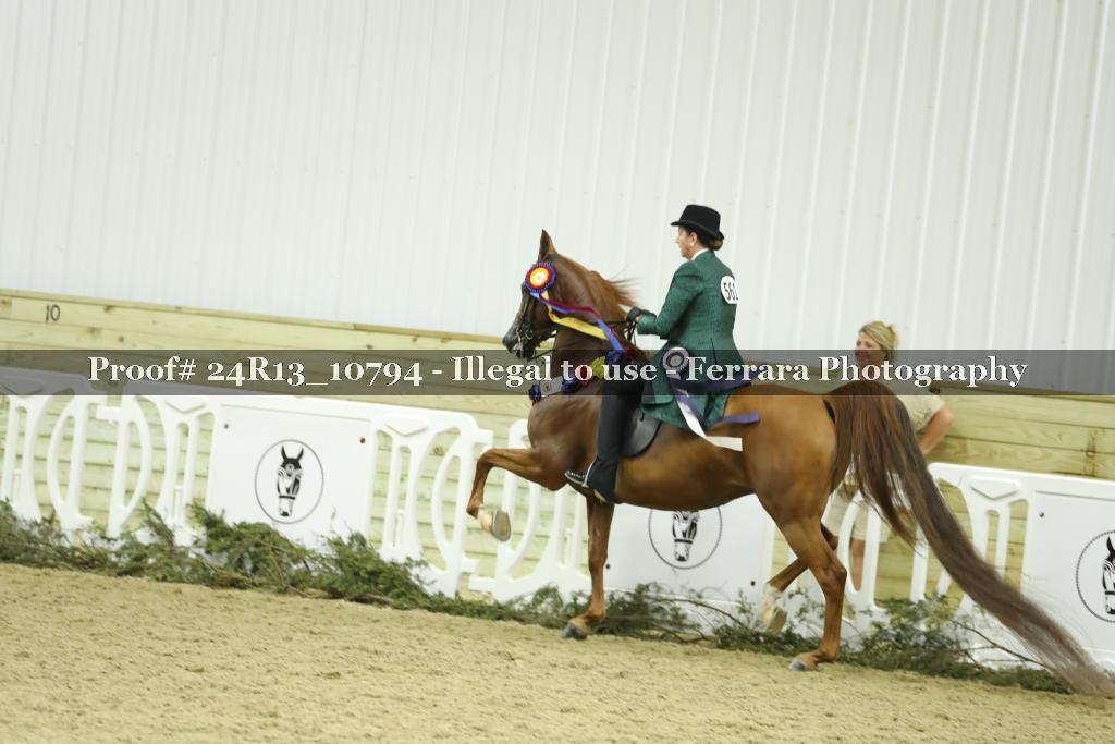 Proof 24R13_10794