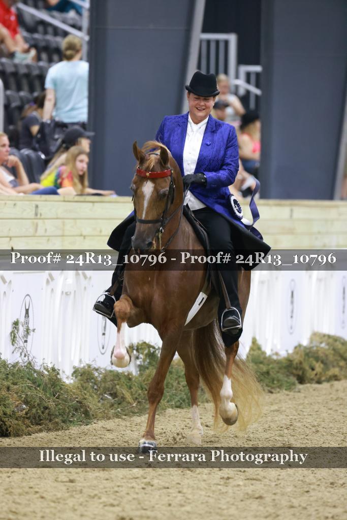 Proof 24R13_10796