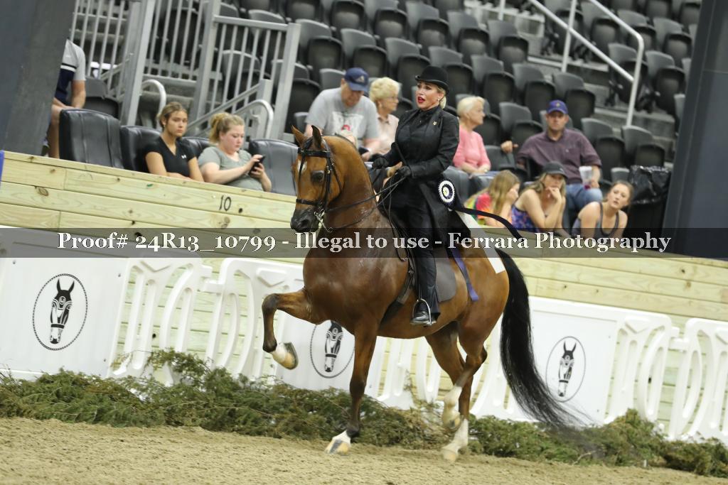 Proof 24R13_10799