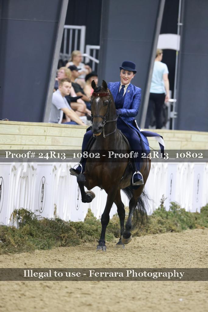 Proof 24R13_10802