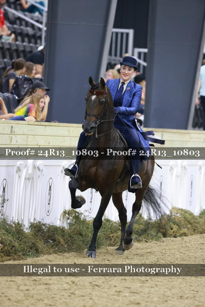 Proof 24R13_10803