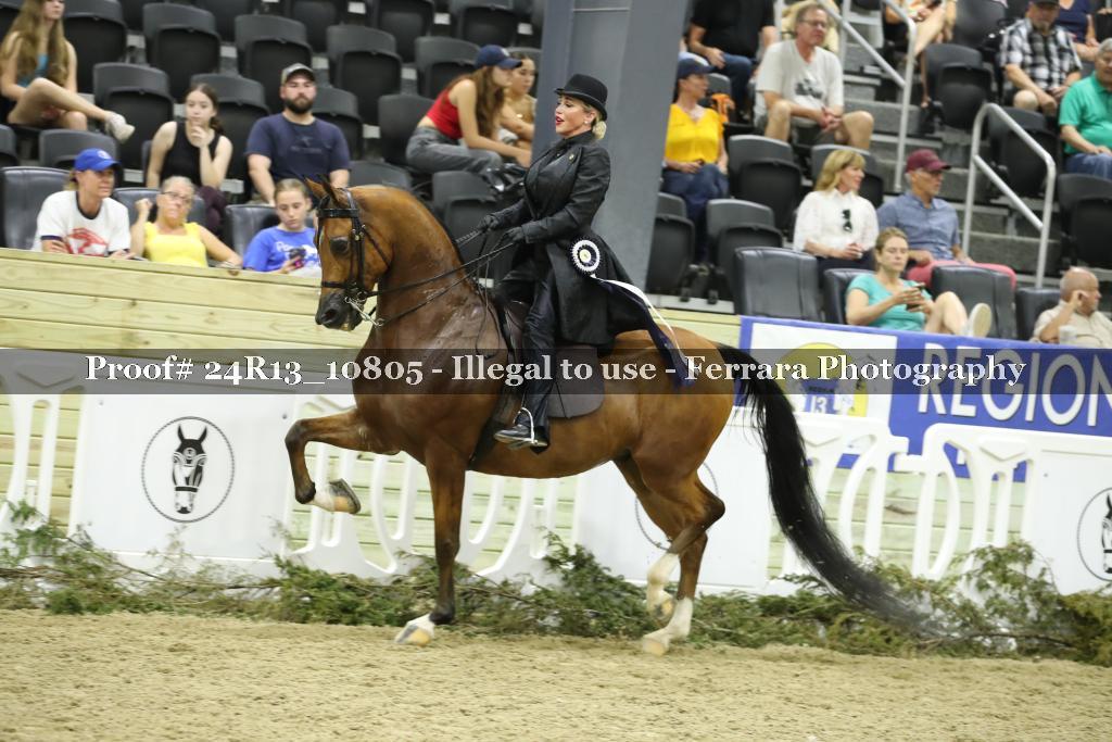 Proof 24R13_10805