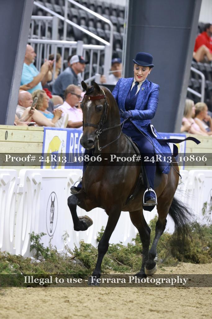 Proof 24R13_10806