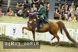 24R13_10818 proof