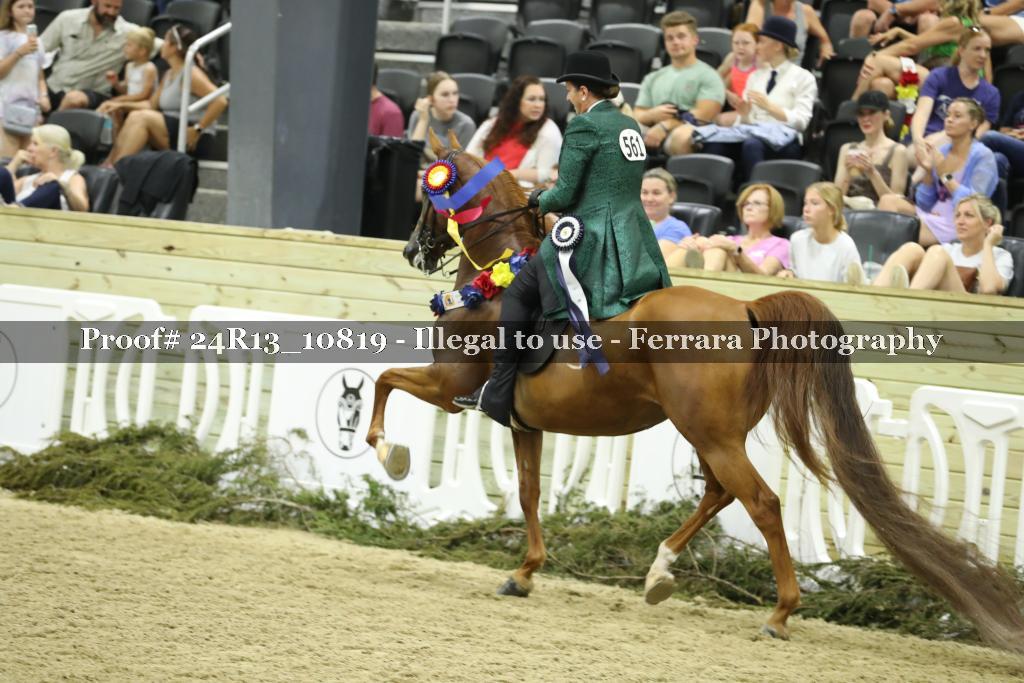 Proof 24R13_10819