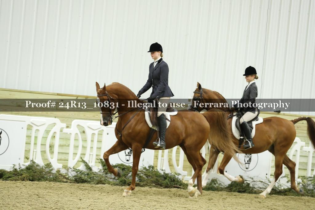 Proof 24R13_10831