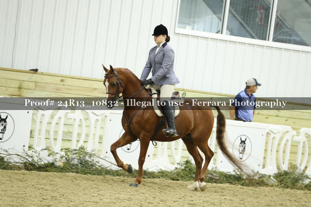 Proof 24R13_10832