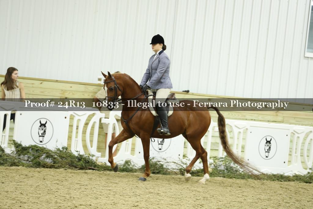 Proof 24R13_10833