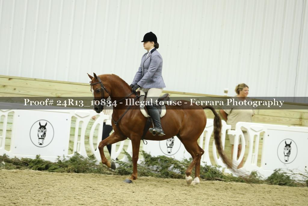 Proof 24R13_10834
