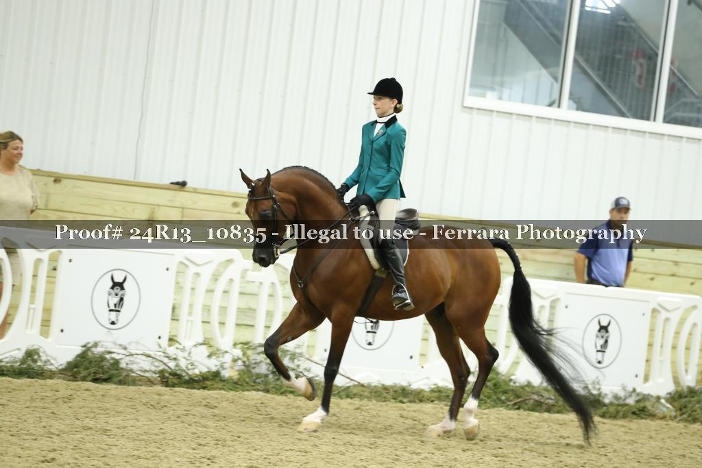 Proof 24R13_10835