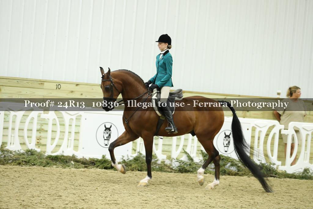 Proof 24R13_10836