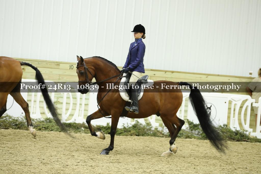 Proof 24R13_10839