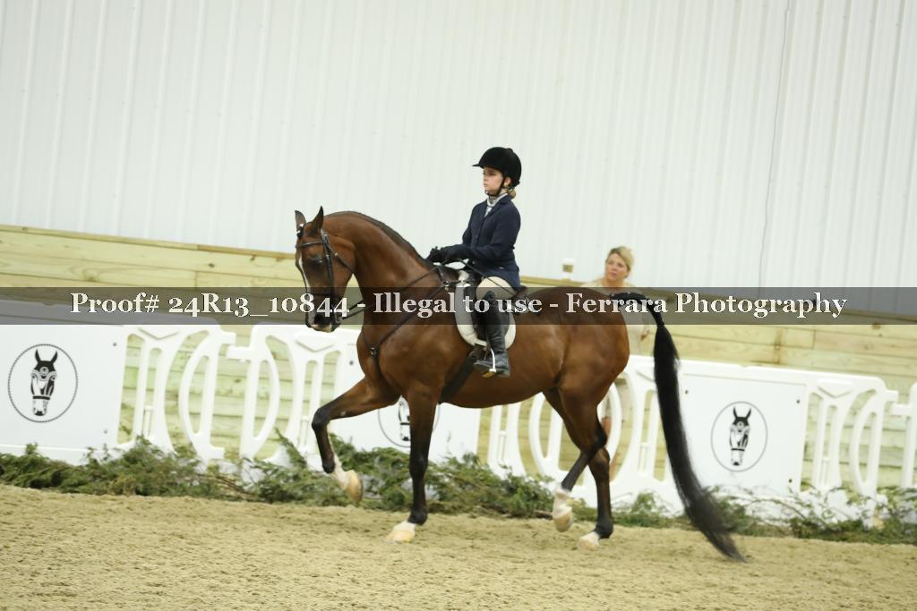 Proof 24R13_10844