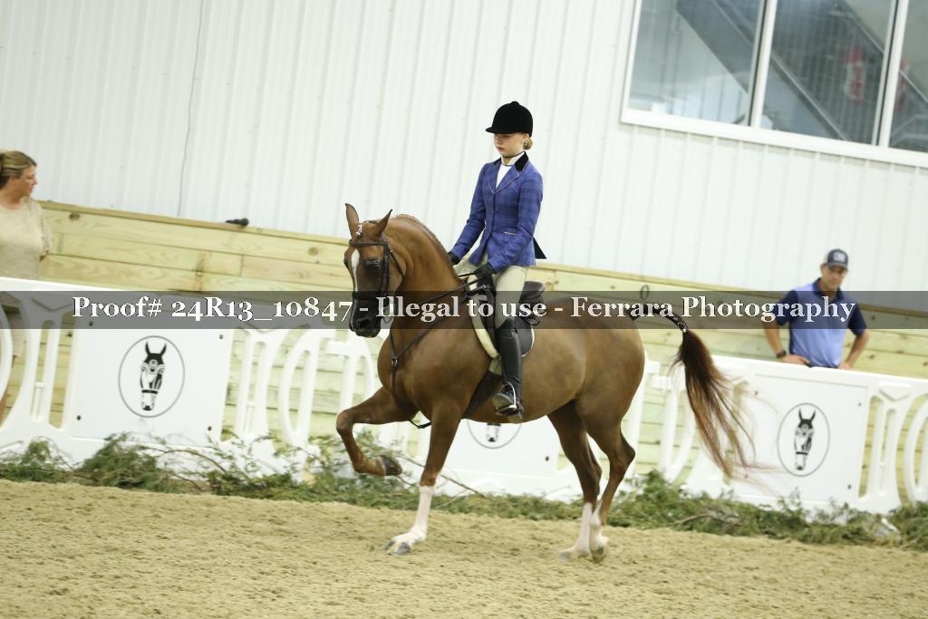 Proof 24R13_10847