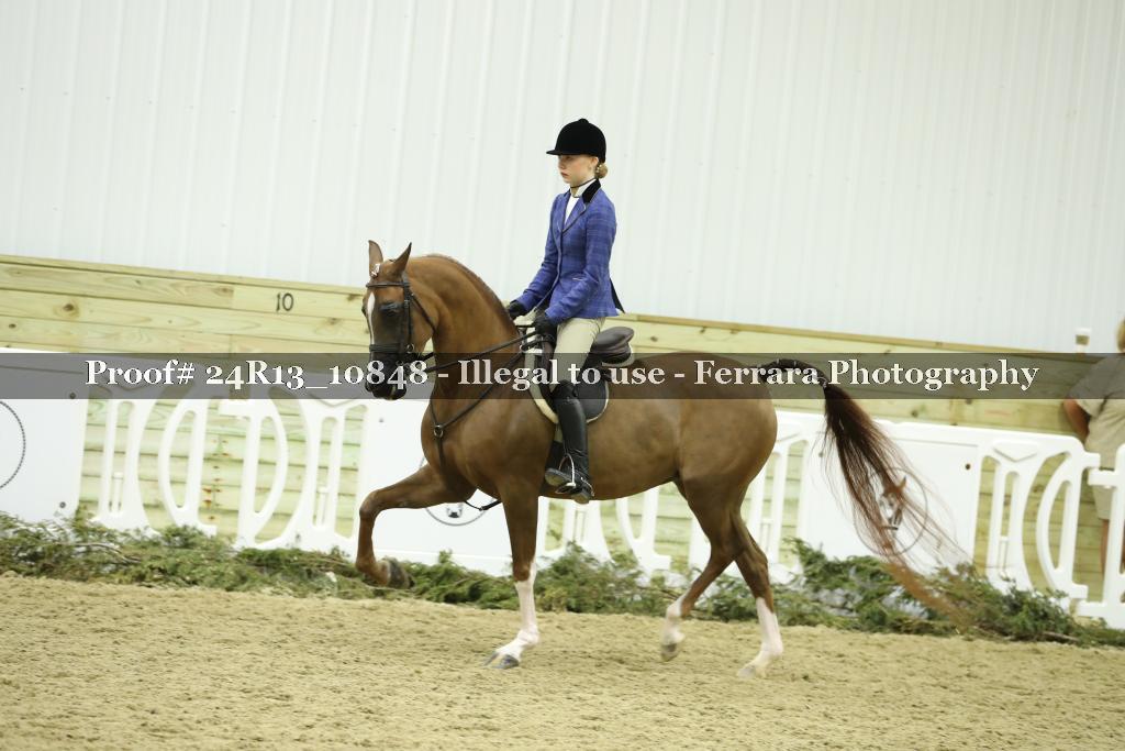 Proof 24R13_10848