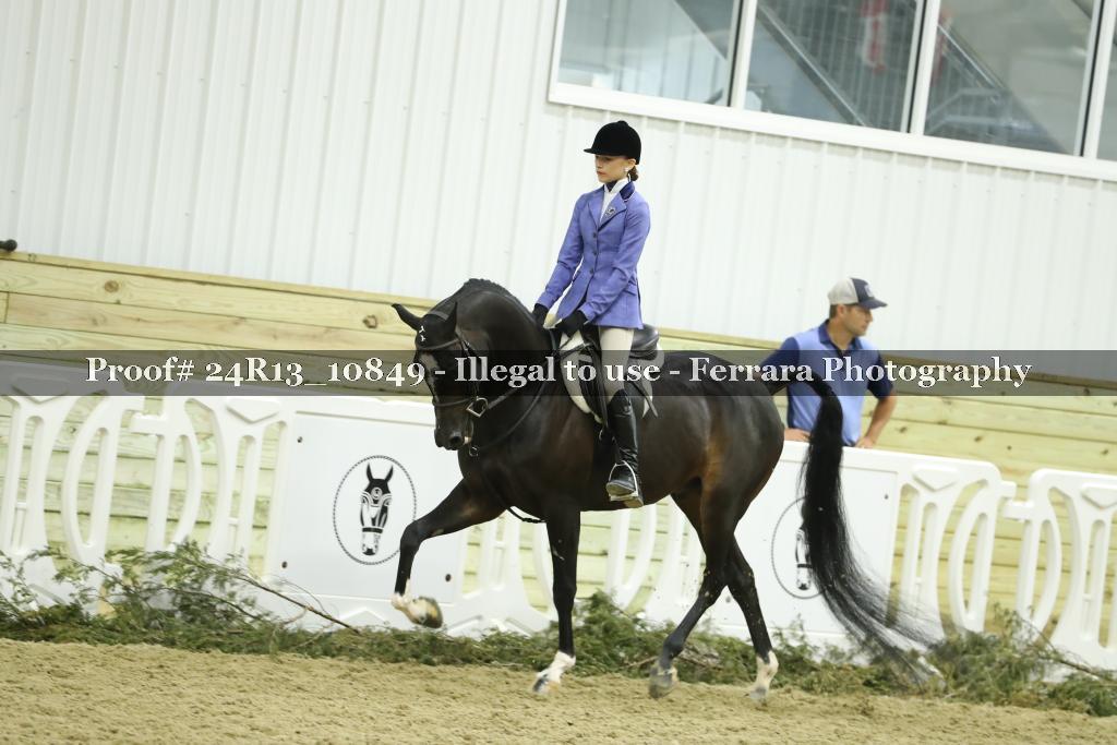 Proof 24R13_10849