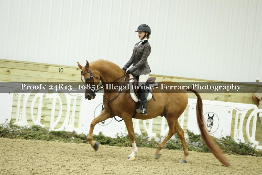 Proof 24R13_10851