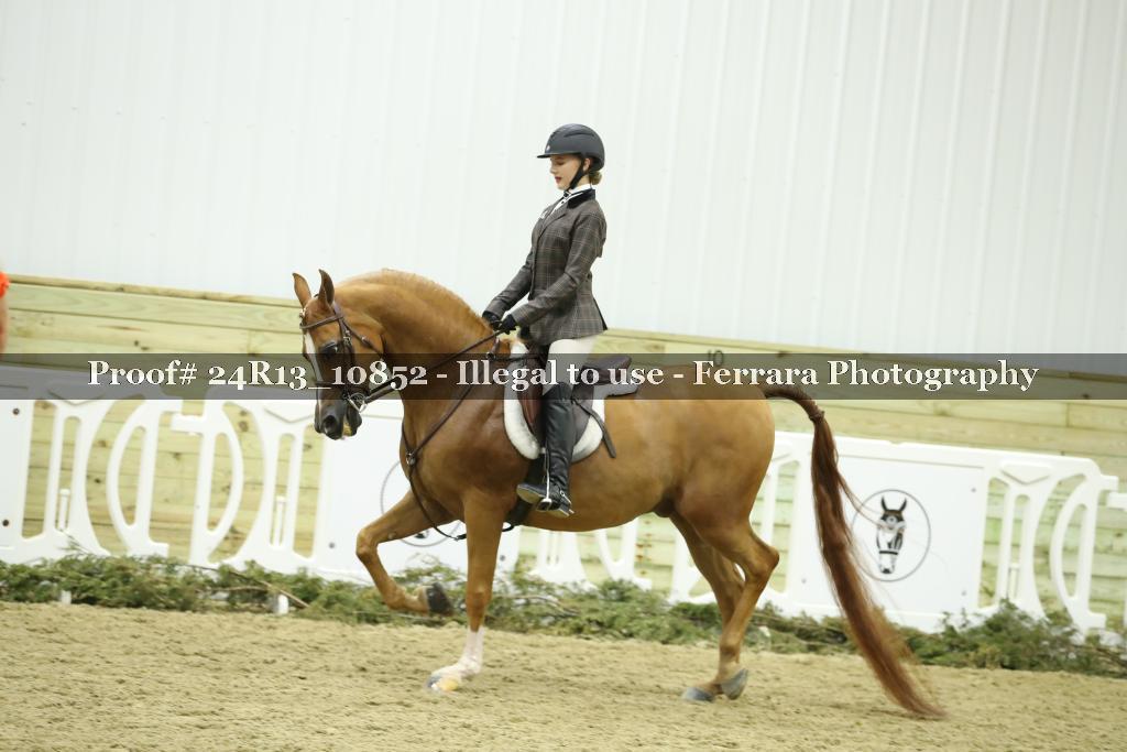 Proof 24R13_10852