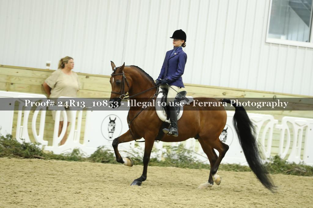 Proof 24R13_10853