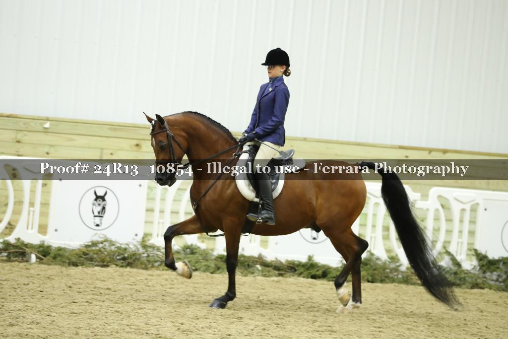 Proof 24R13_10854
