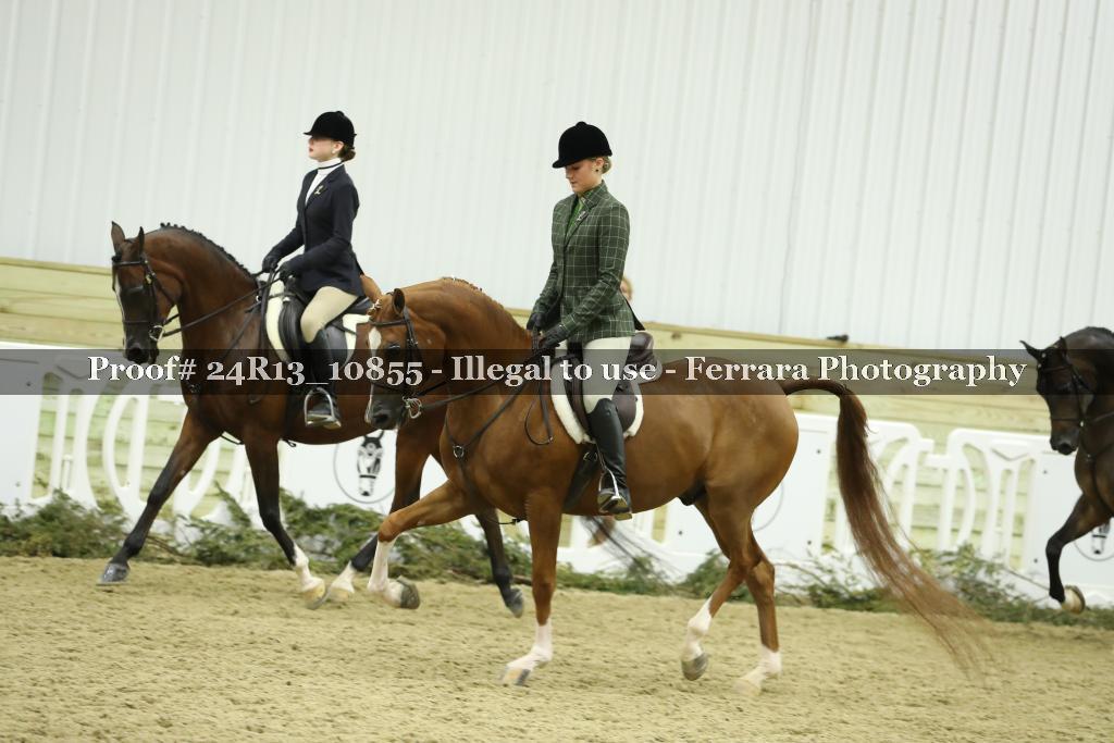 Proof 24R13_10855