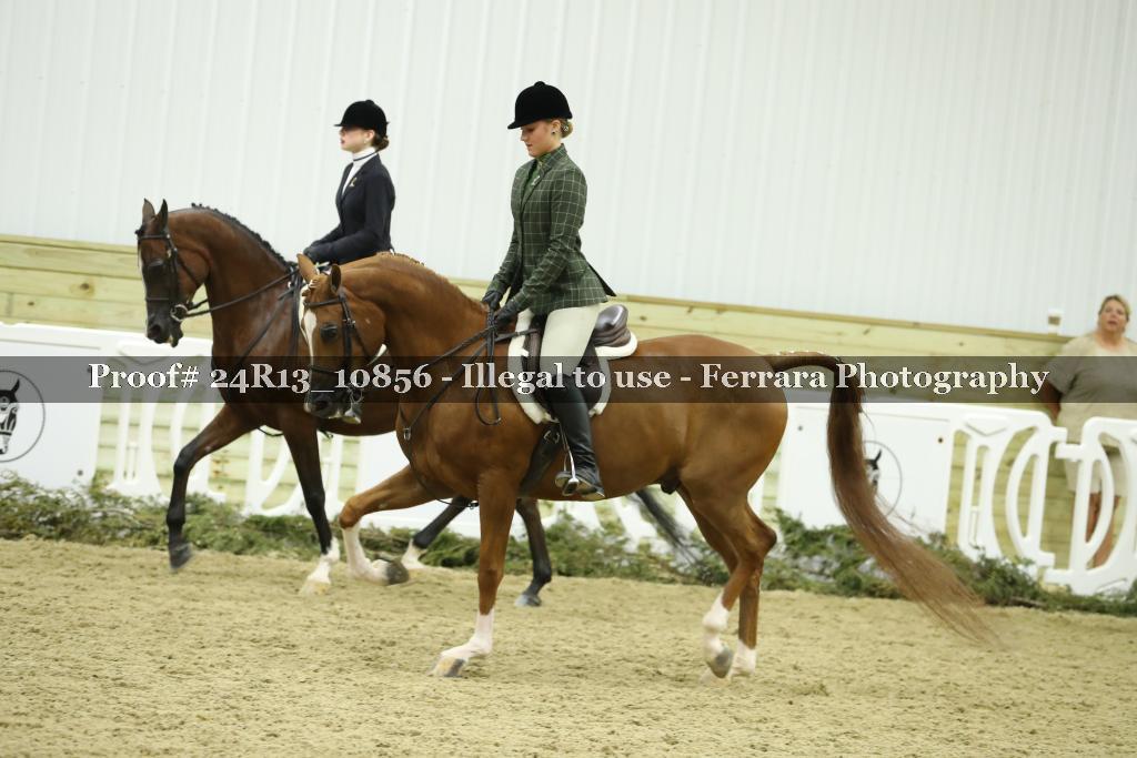 Proof 24R13_10856