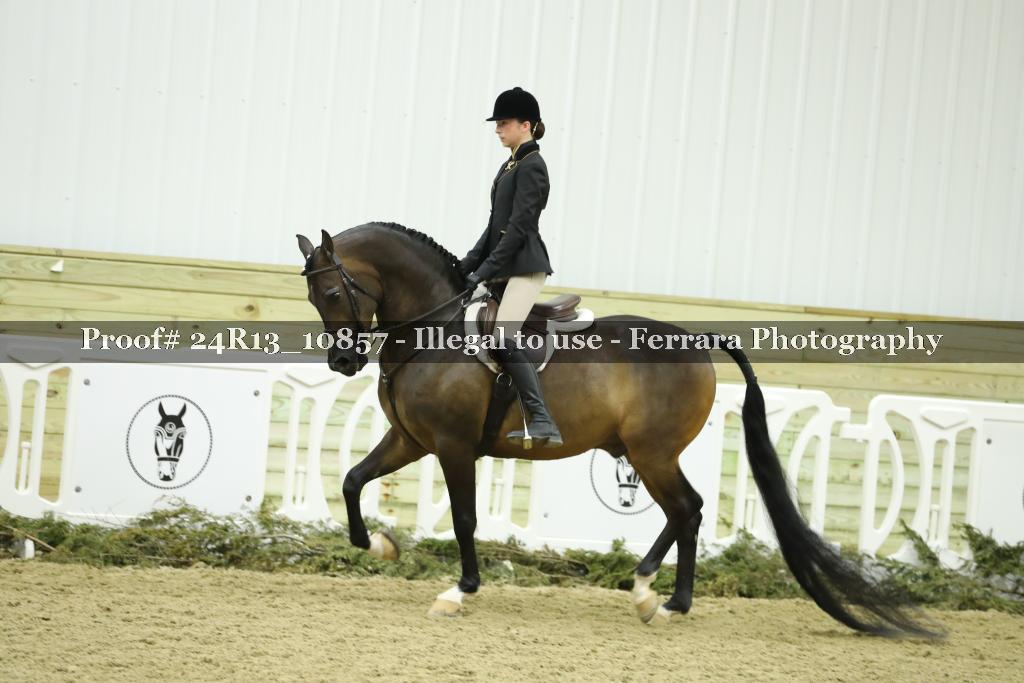 Proof 24R13_10857