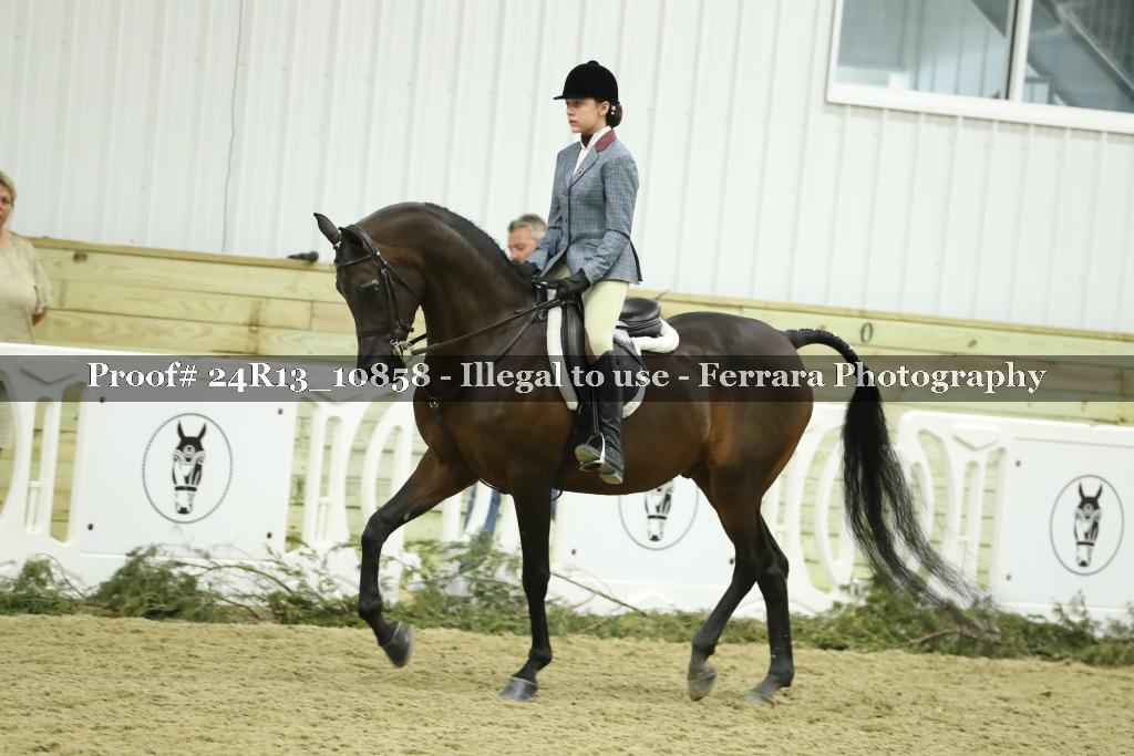 Proof 24R13_10858