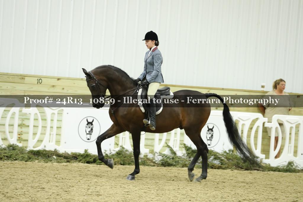 Proof 24R13_10859