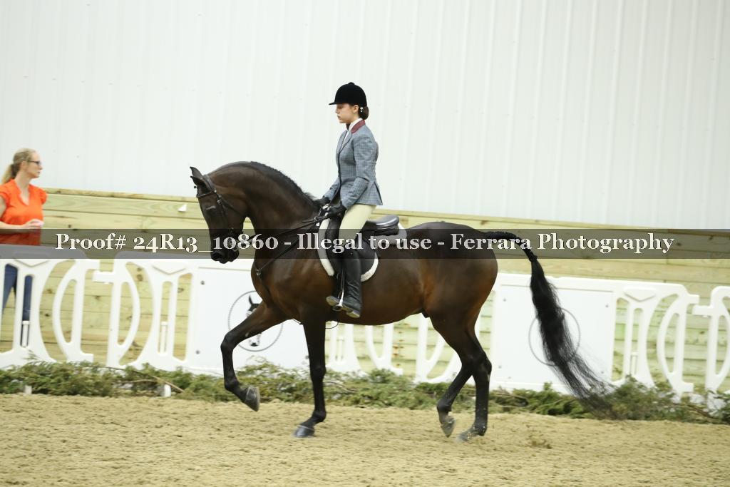 Proof 24R13_10860