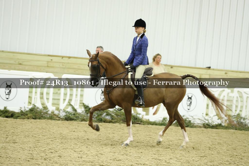 Proof 24R13_10861