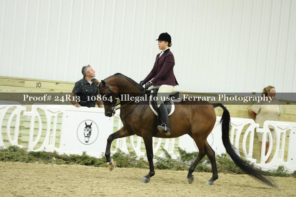 Proof 24R13_10864