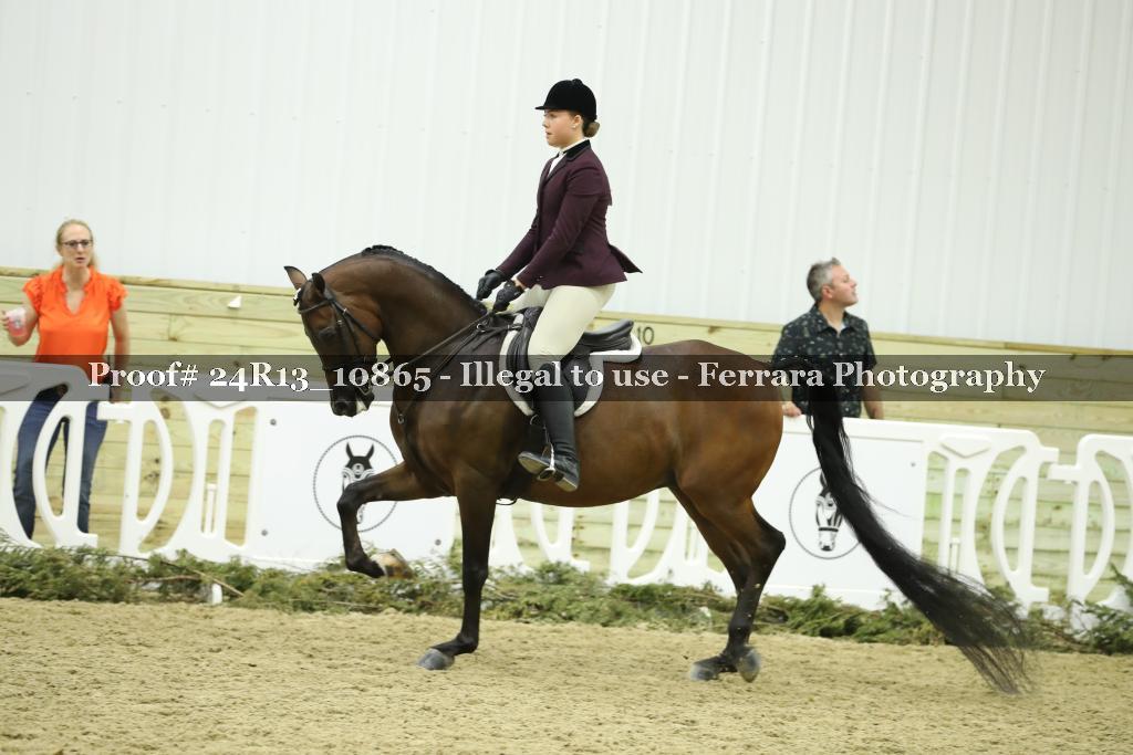 Proof 24R13_10865