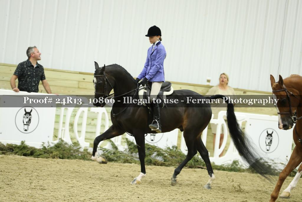 Proof 24R13_10866