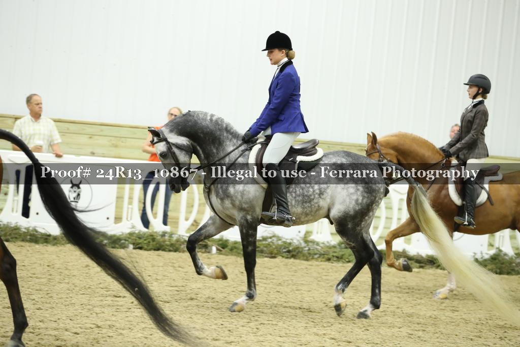 Proof 24R13_10867