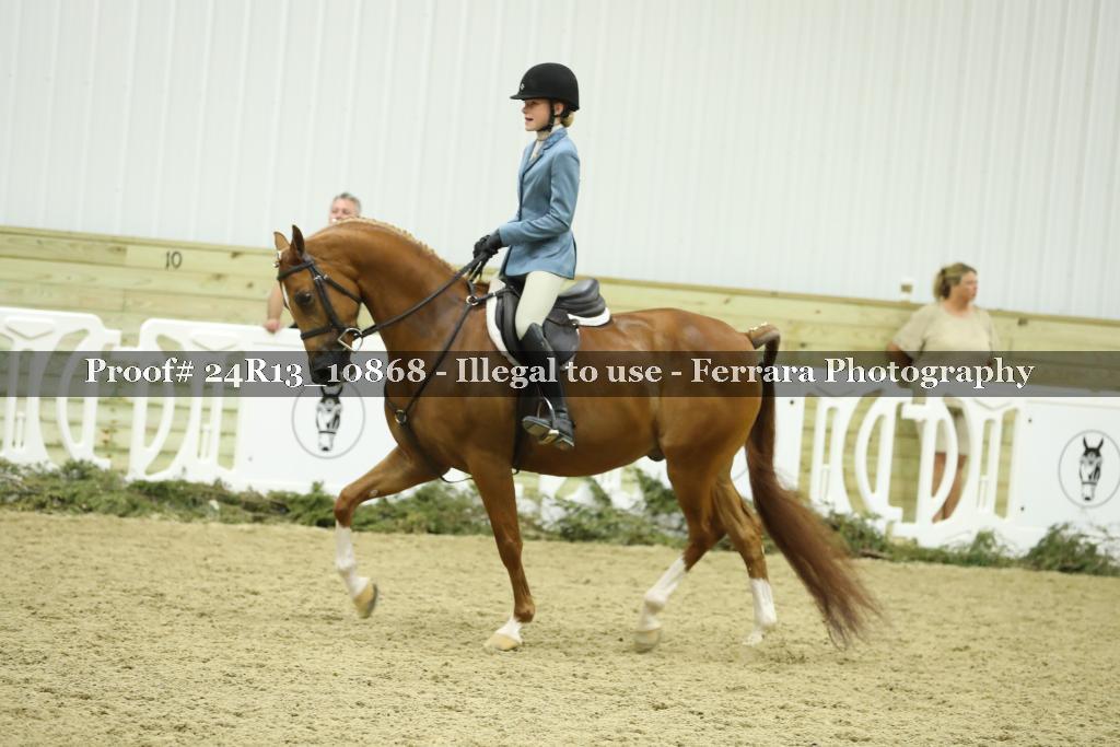 Proof 24R13_10868