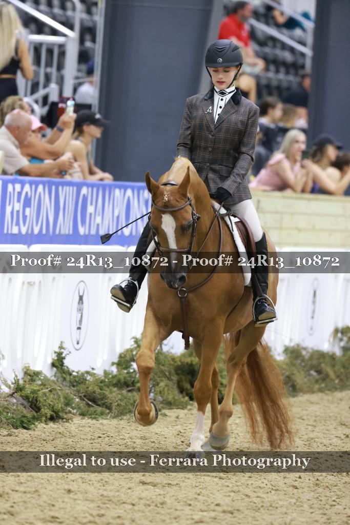 Proof 24R13_10872