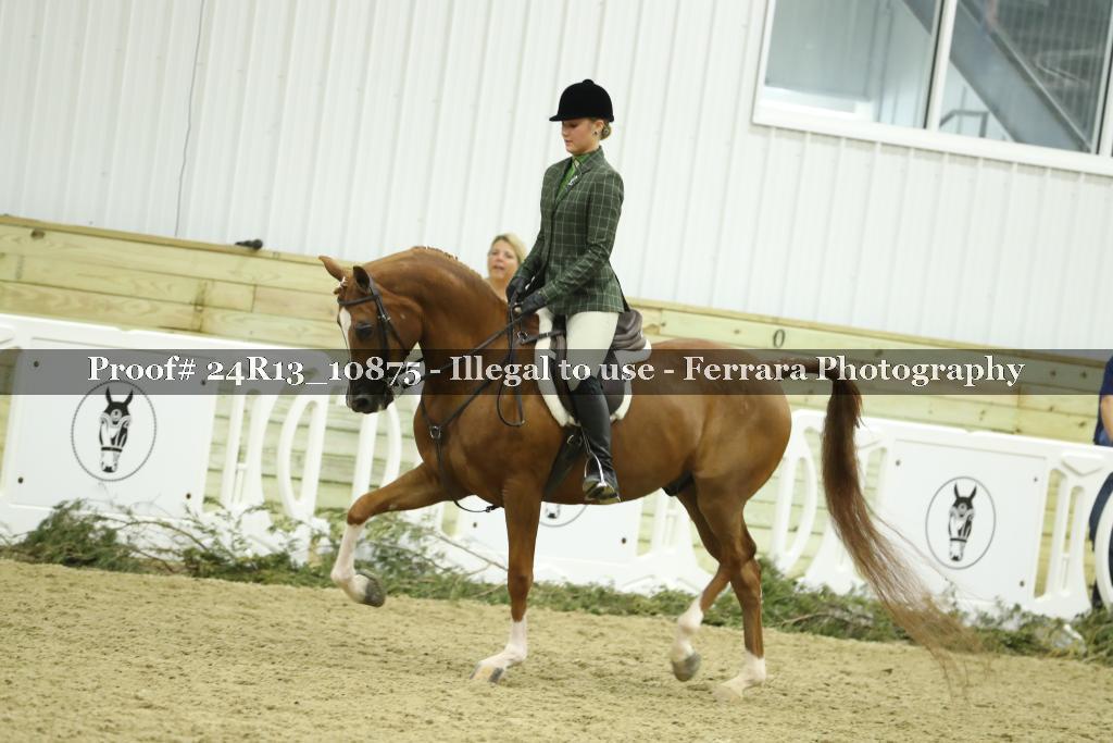 Proof 24R13_10875