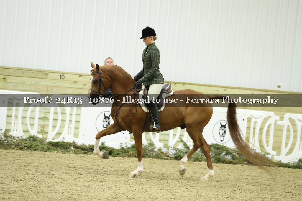 Proof 24R13_10876
