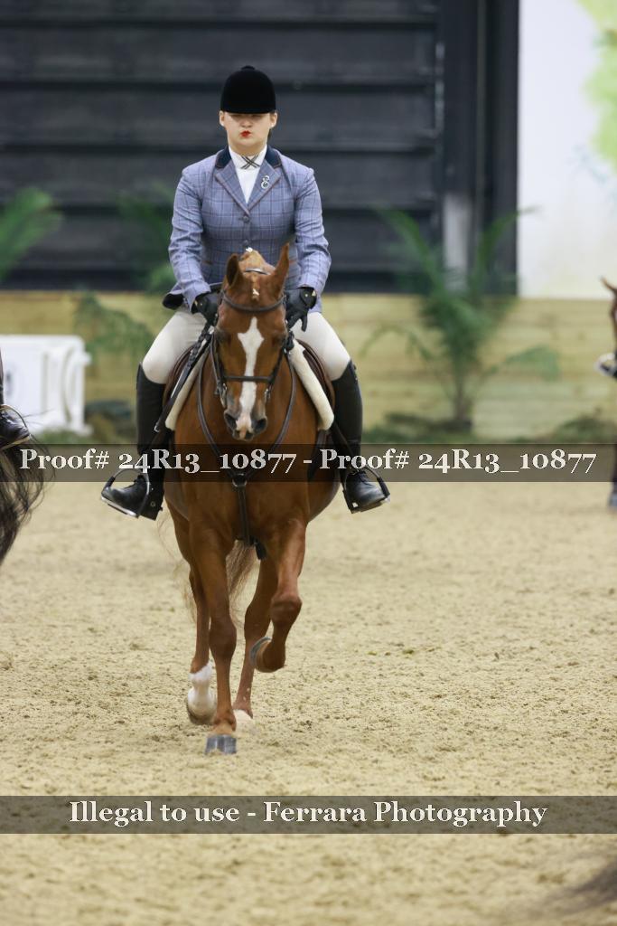 Proof 24R13_10877