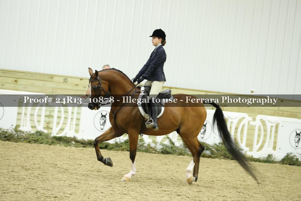 Proof 24R13_10878