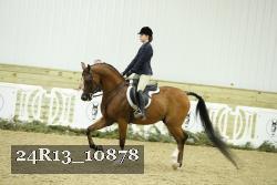 24R13_10878 proof