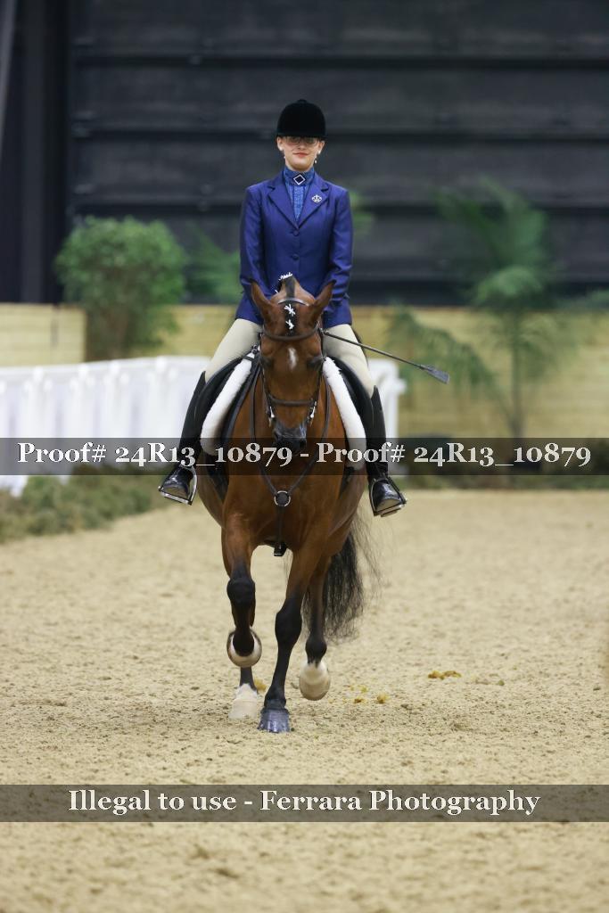 Proof 24R13_10879