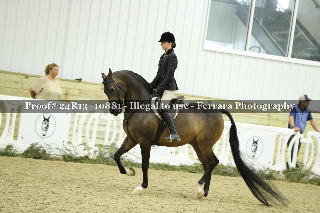 Proof 24R13_10881