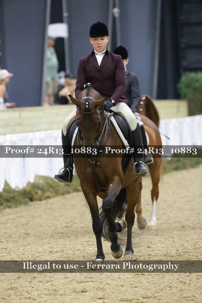 Proof 24R13_10883